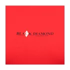 Black Diamond W HERITAGE WORDMARK SS TEE