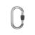 Black Diamond OVAL KEYLOCK SCRWGT CARABINER