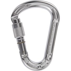 Climbing Technology Concept SG (screw gate)