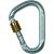 Climbing Technology Snappy Steel SG (screw gate)