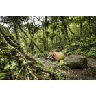 Fjällräven Abisko Lite 3 / Abisko Lite 3