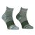 Ortovox Alpine Quarter Socks Men's