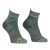 Ortovox Alpine Light Quarter Socks Men's