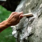 YY VERTICAL VerticalBrush S 10 darabos csomag